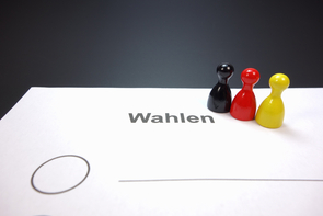 Top-Ökonom entdeckt Paradox im Programm der AfD